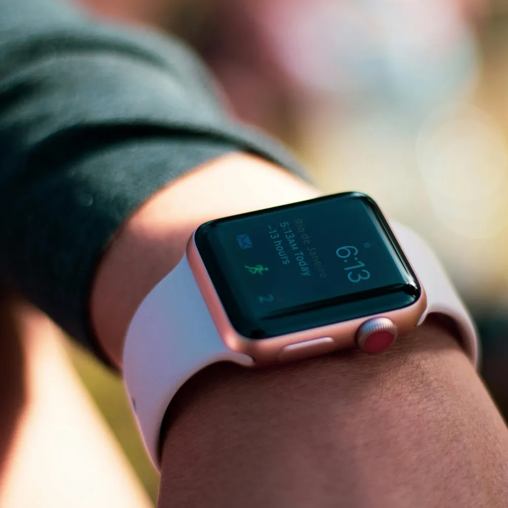 uno smatwatch al polso, il re insiscusso dei dispositivi indossabili