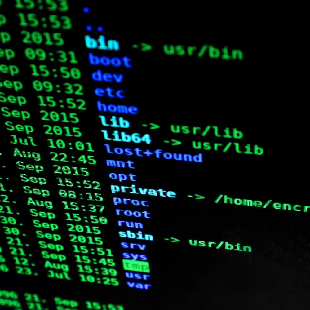 la schermata di diagnostica di un pc colpito da virus e malware