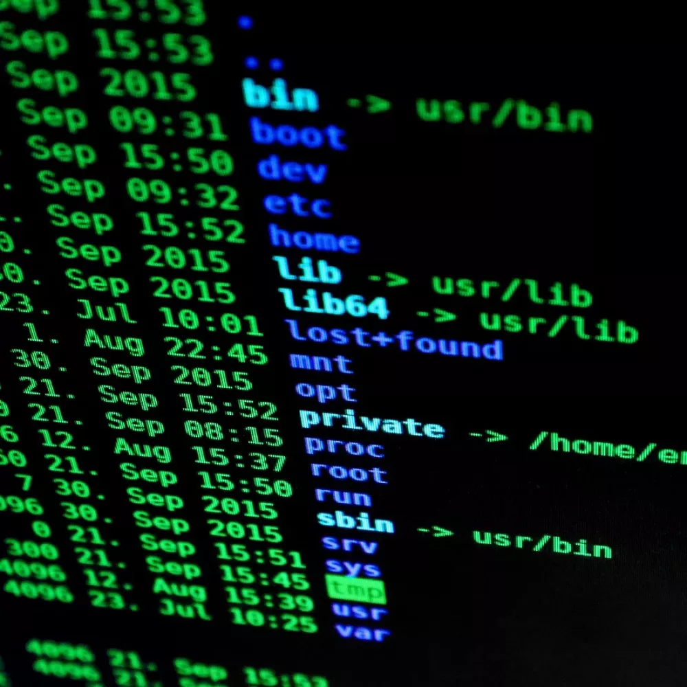 la schermata di diagnostica di un pc colpito da virus e malware