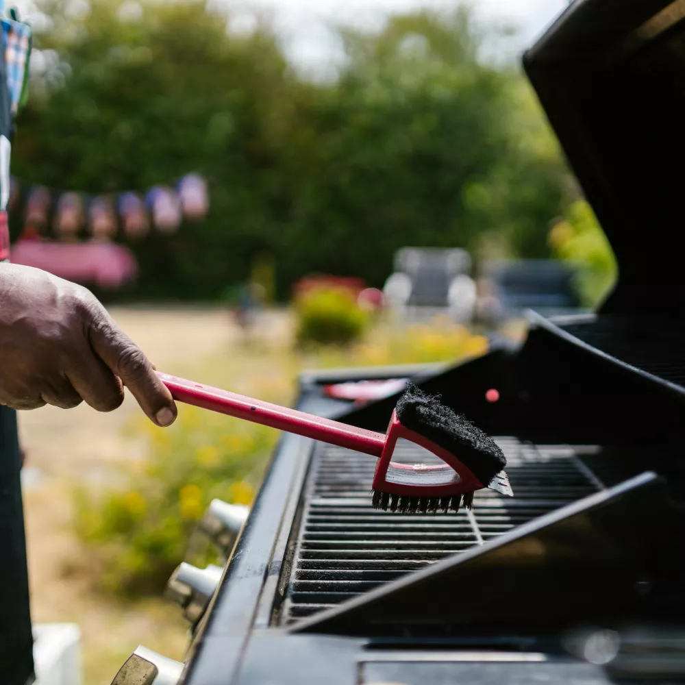 spazzolare evita di accumulare grasso nel grill