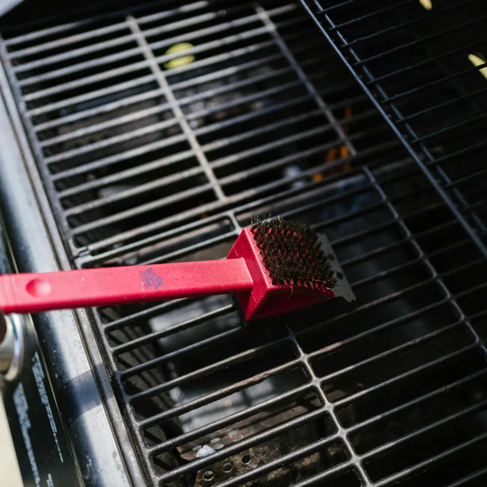 la tecnica migliore per la pulizia delle resistenze del grill è spazzolare a fondo