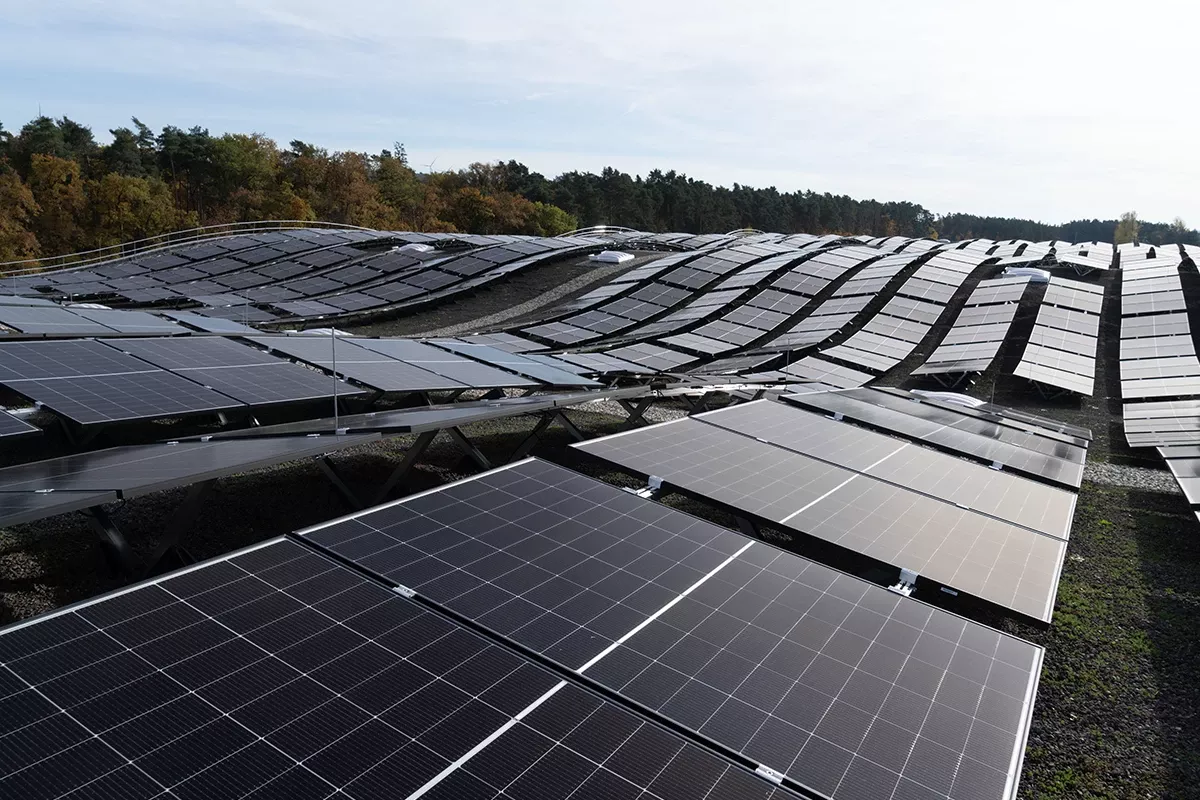 Large industrial photovoltaic installation with rows of solar panels on curved rooftop landscape near forest.